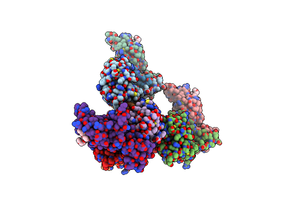 8BDM image