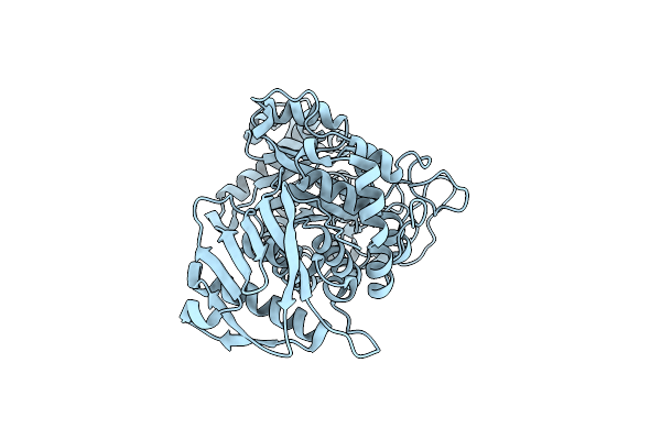 8BDP image