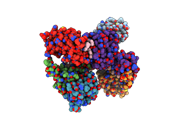 8BDT image