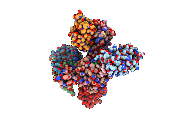 8BDX image