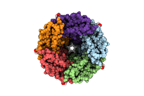 8BEJ image