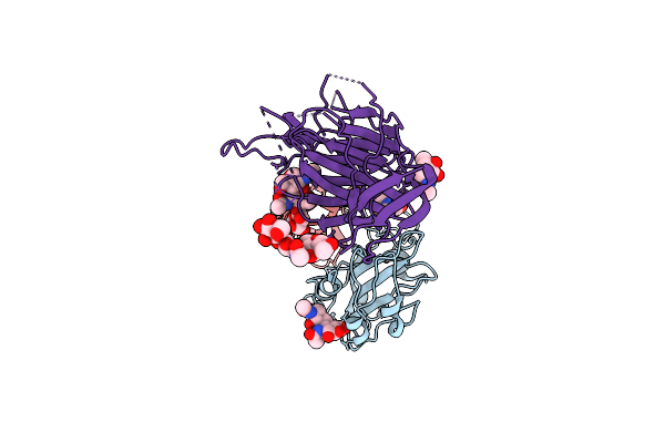 8BEV image