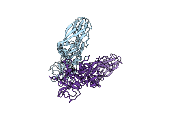 8BEX image