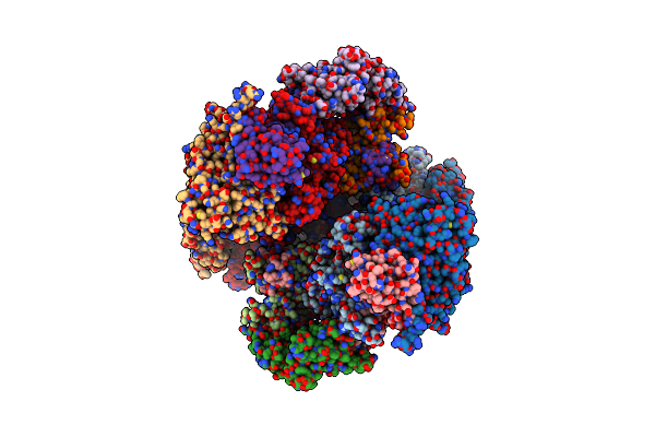 8BFN image