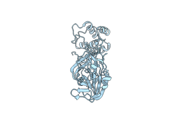 8BFO image
