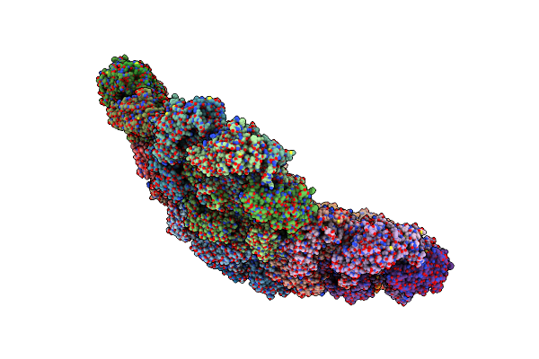 8BFP image