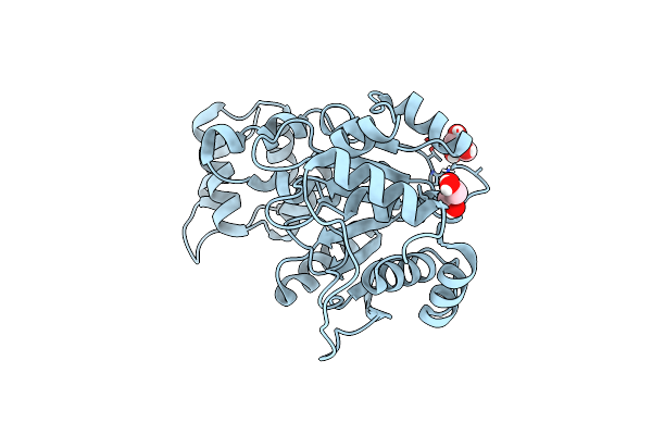 8BFR image
