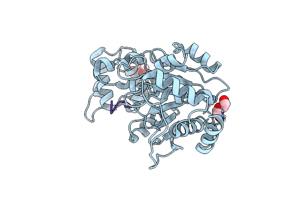 8BFT image