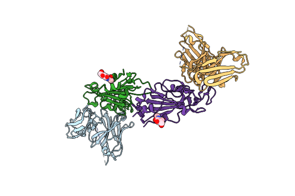 8BG2 image
