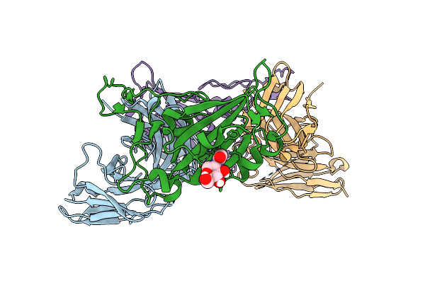 8BG3 image
