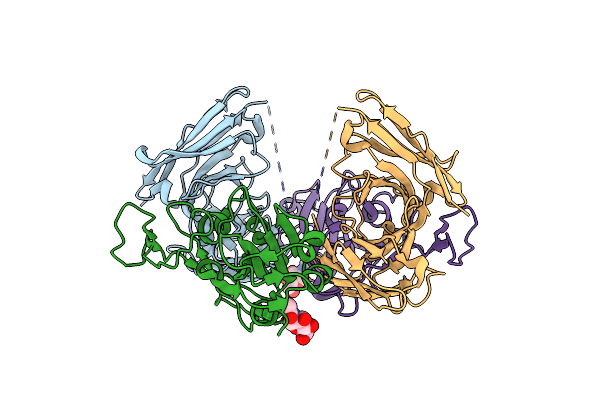 8BG5 image