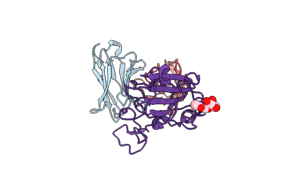 8BG6 image