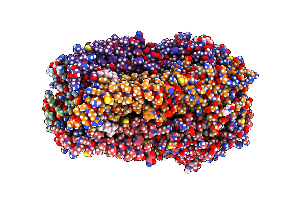 8BGI image