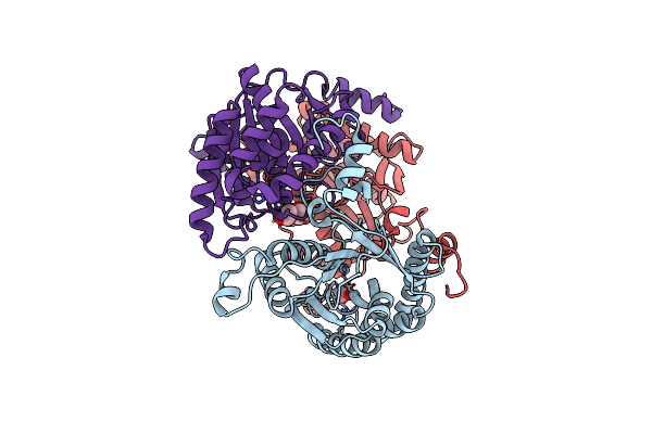 8BGN image