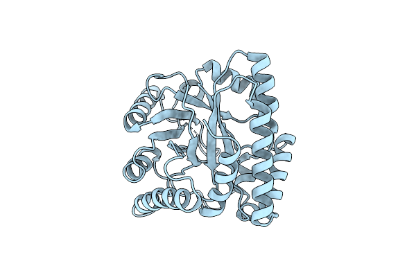 8BGR image