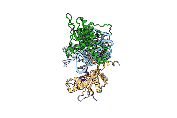 8BGU image