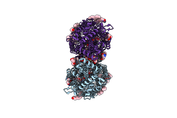 8BGW image