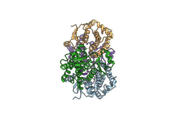 8BHC image