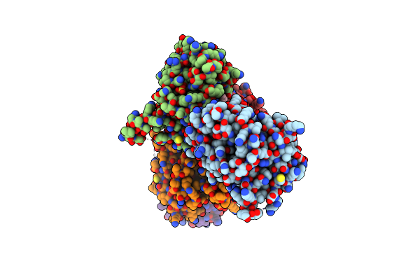8BHD image