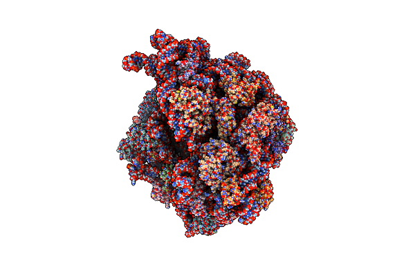 8BHL image