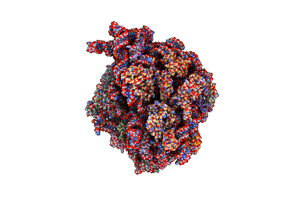 8BHN image