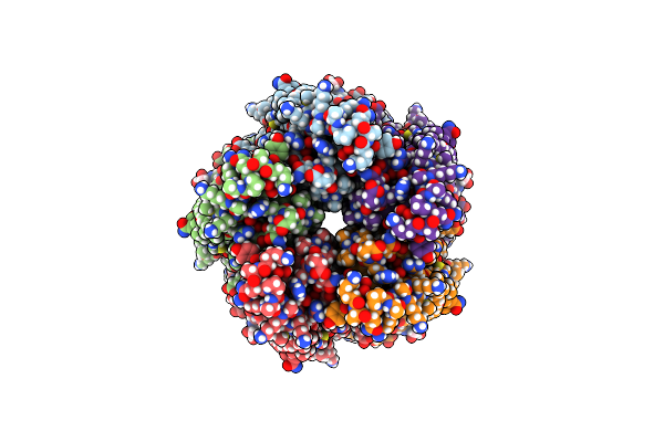 8BHR image