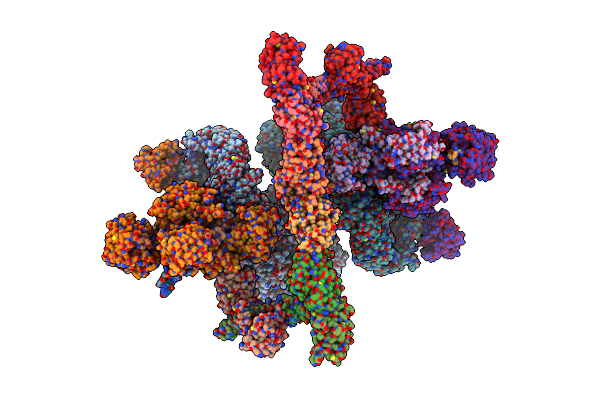 8BHV image