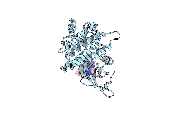8BI2 image