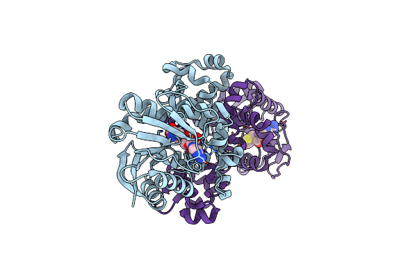 8BIE image