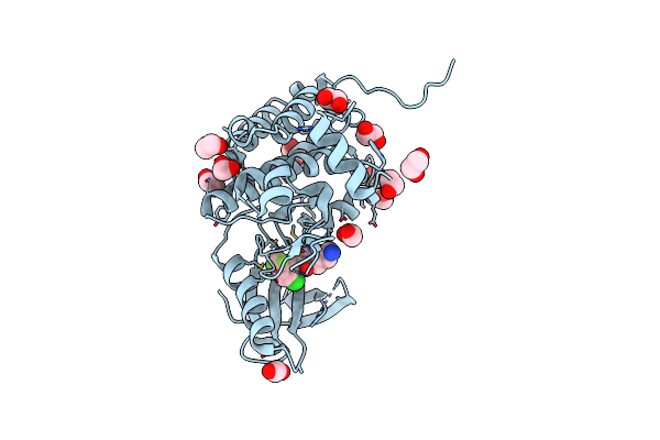 8BIO image