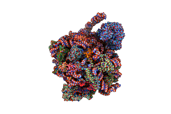8BIP image