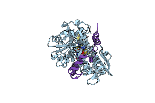 8BJ8 image