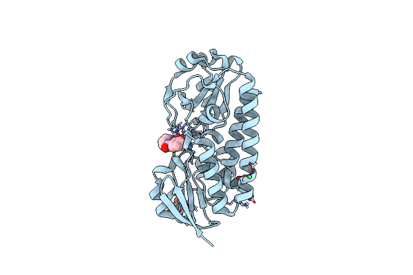 8BJ9 image