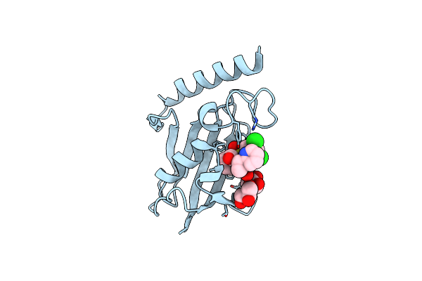 8BJE image