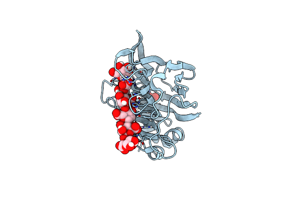 8BJO image