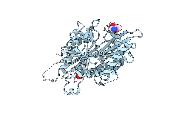 8BJS image