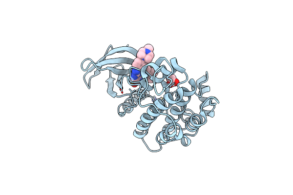 8BJT image