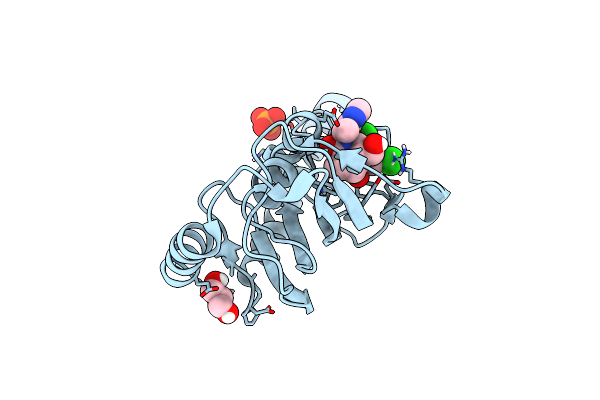 8BK4 image
