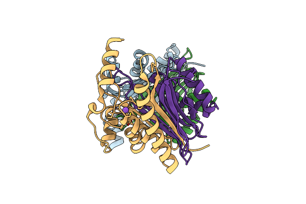 8BKF image