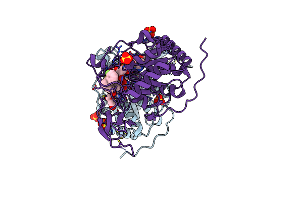 8BL1 image