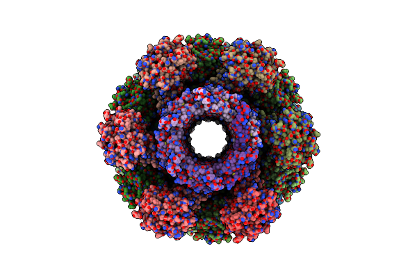 8BL4 image