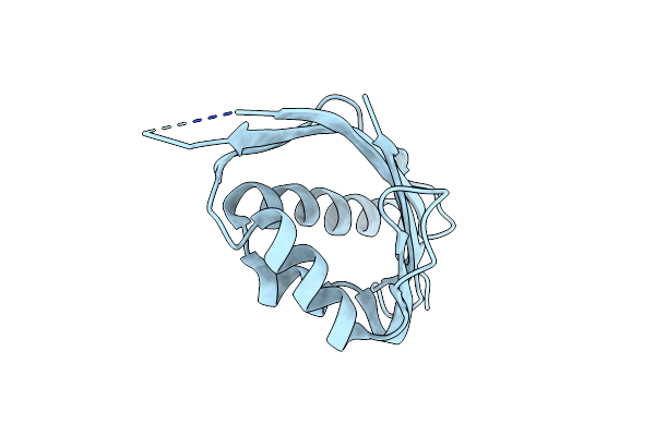 8BL5 image