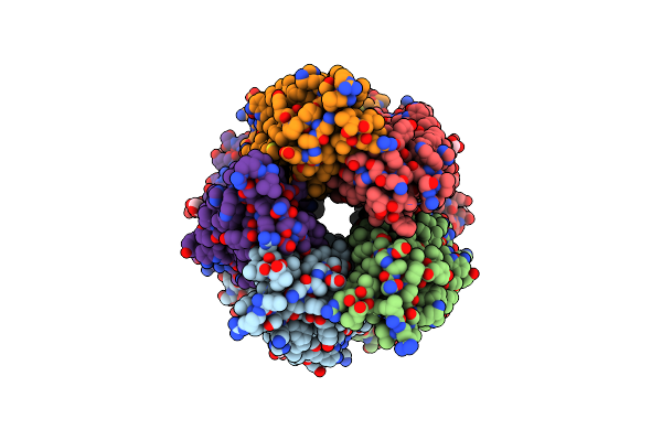 8BL8 image