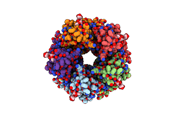 8BLB image