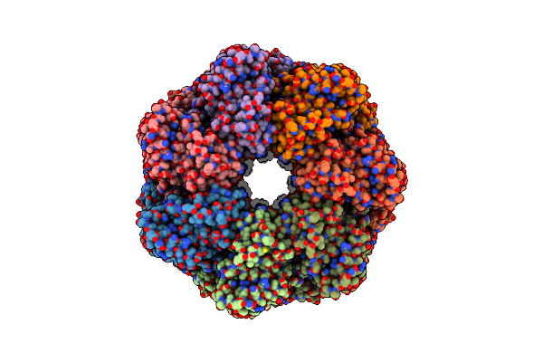 8BLC image