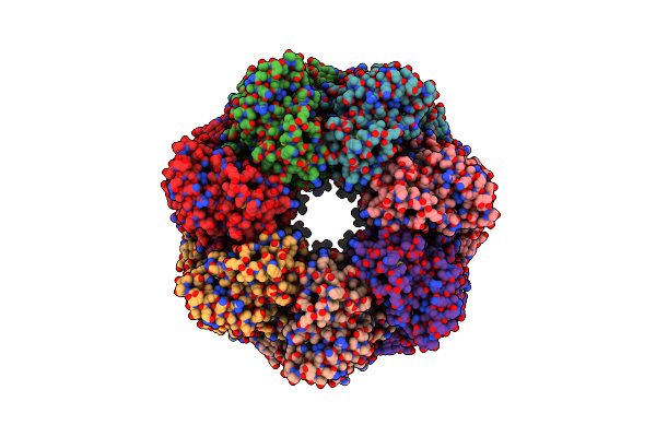 8BLD image
