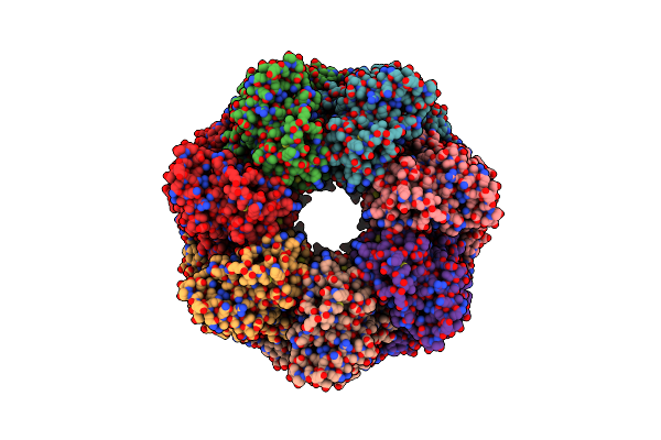 8BLF image