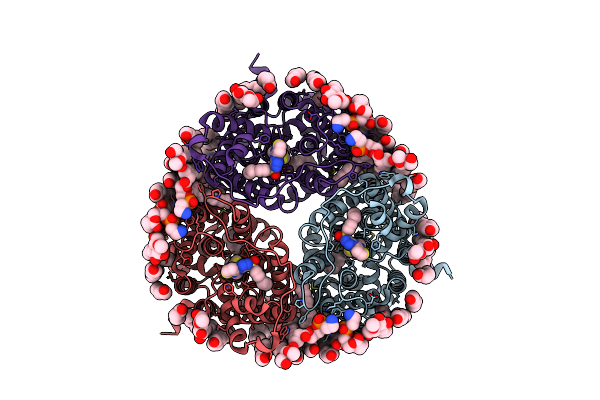 8BLP image