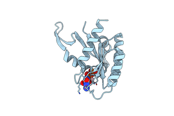 8BLR image