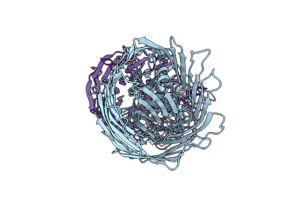 8BLW image